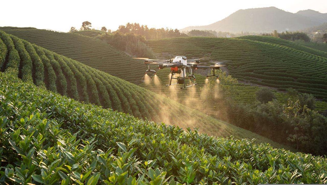 Subsidy for Drones: A 50% subsidy will be provided to promote drone technology in agriculture.