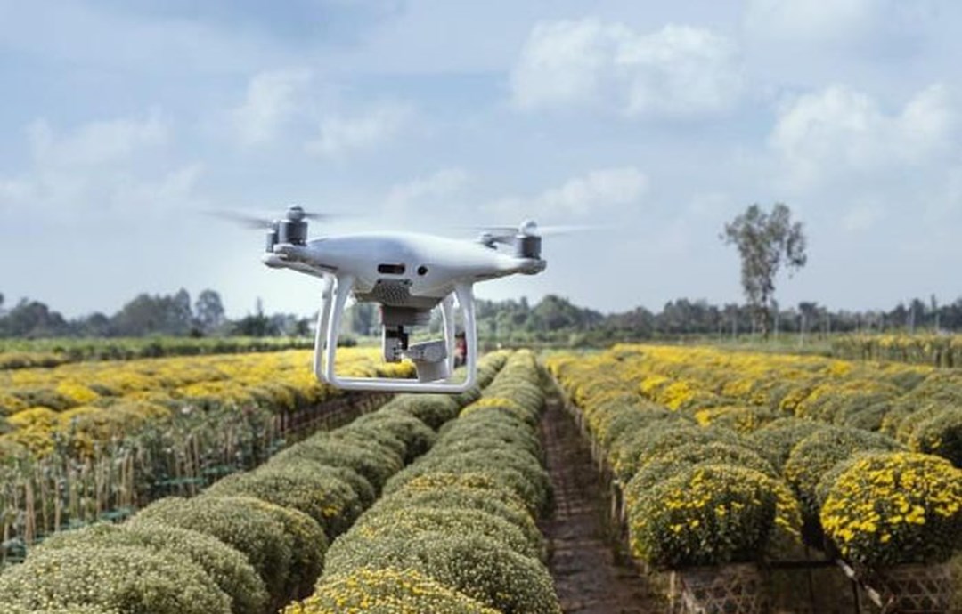 Iotechworld Avigation Will Produce 100% Indigenous Drones, Benefiting Farmers While Lowering Prices
