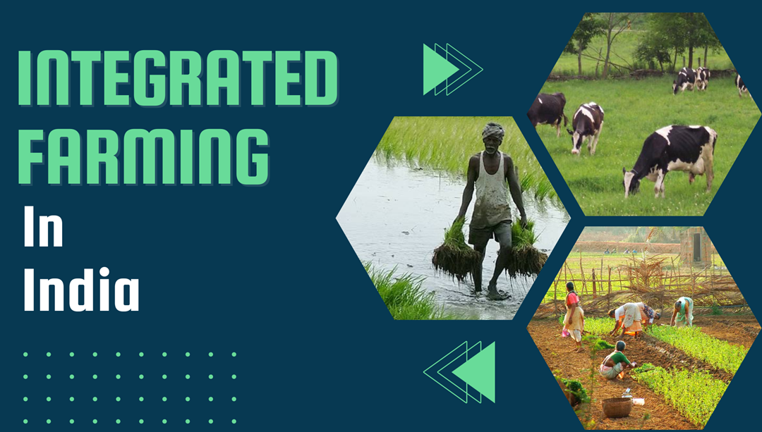 integrated-farming-characteristics-benefits-more