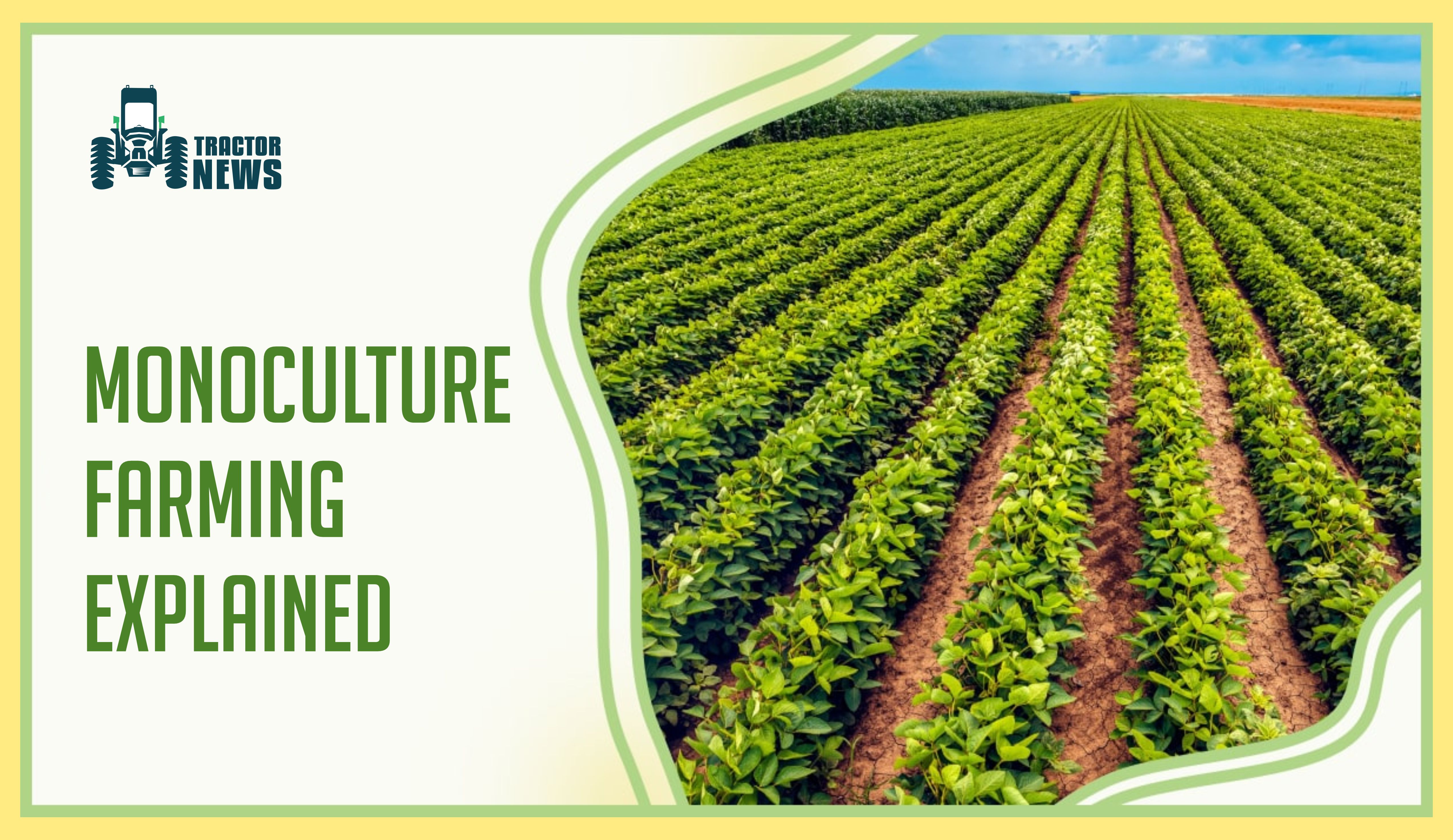 Monoculture Farming Know About its Pros And Cons