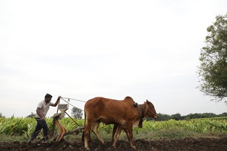 Increase In Price Of Fertilizer Has Maharashtra Minister Worried