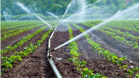Find Out How You Can Get Over 90% Subsidy on Irrigation Equipment